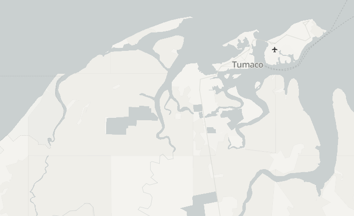 Preview of the light gray map style for Embedded Map
