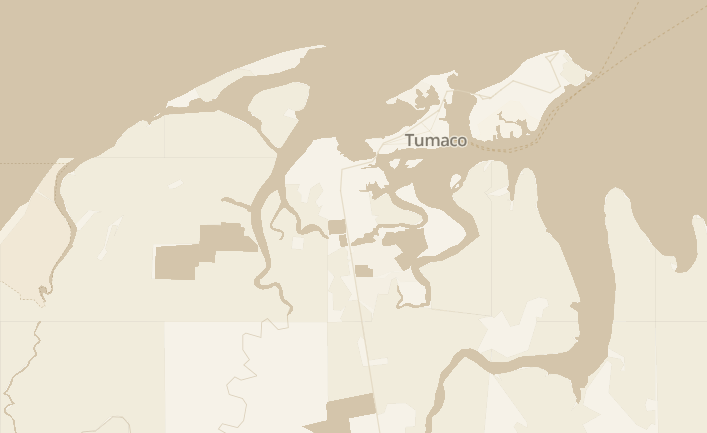 Preview of the camel map style for Embedded Map