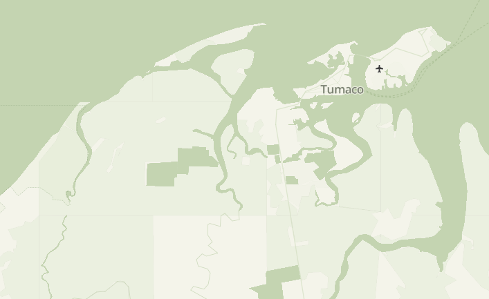 Preview of the pastel green map style for Embedded Map
