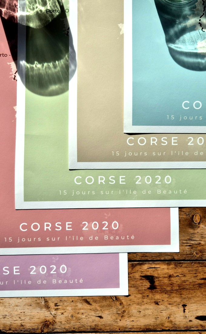 6 available color themes